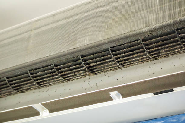 Affordable HVAC Duct Cleaning in VA